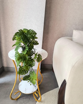 Preserved Monstera Deliciosa Leaf Decor